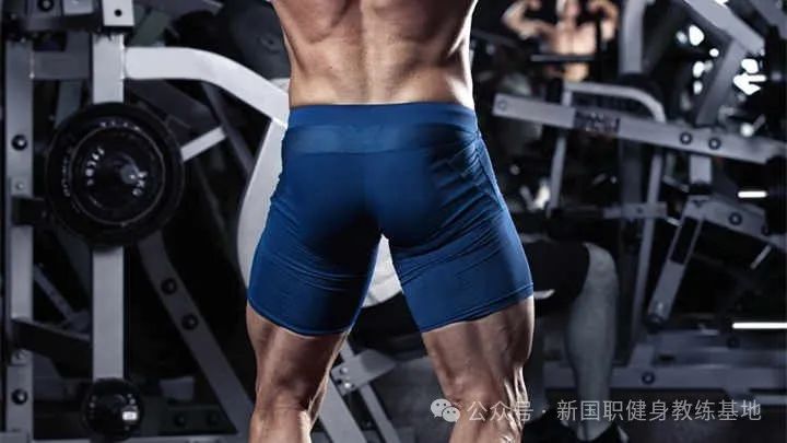 如何成为一名优秀的新国职健身教练！！(图2)