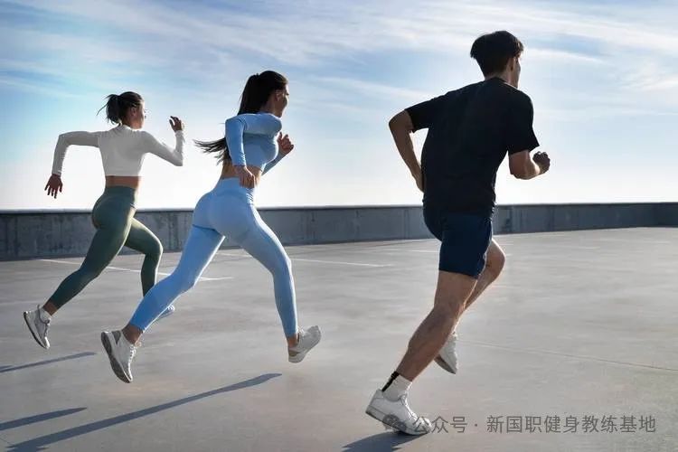 腹肌需要怎么练才能最快出来？新国职健身教练基地(图2)