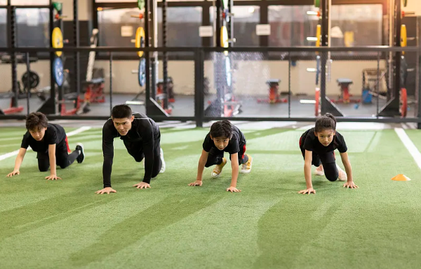 青少年体能训练指导(新国职)职业能力培训班！报名中！！(图1)