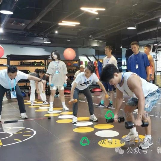 除了卷腹还有哪些动作可以锻炼到腹肌？